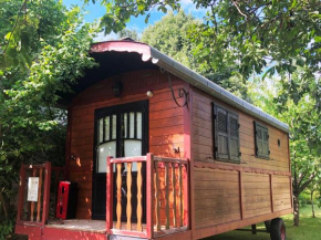 Millygite roulotte - 4 seasons Chalet-on-wheels